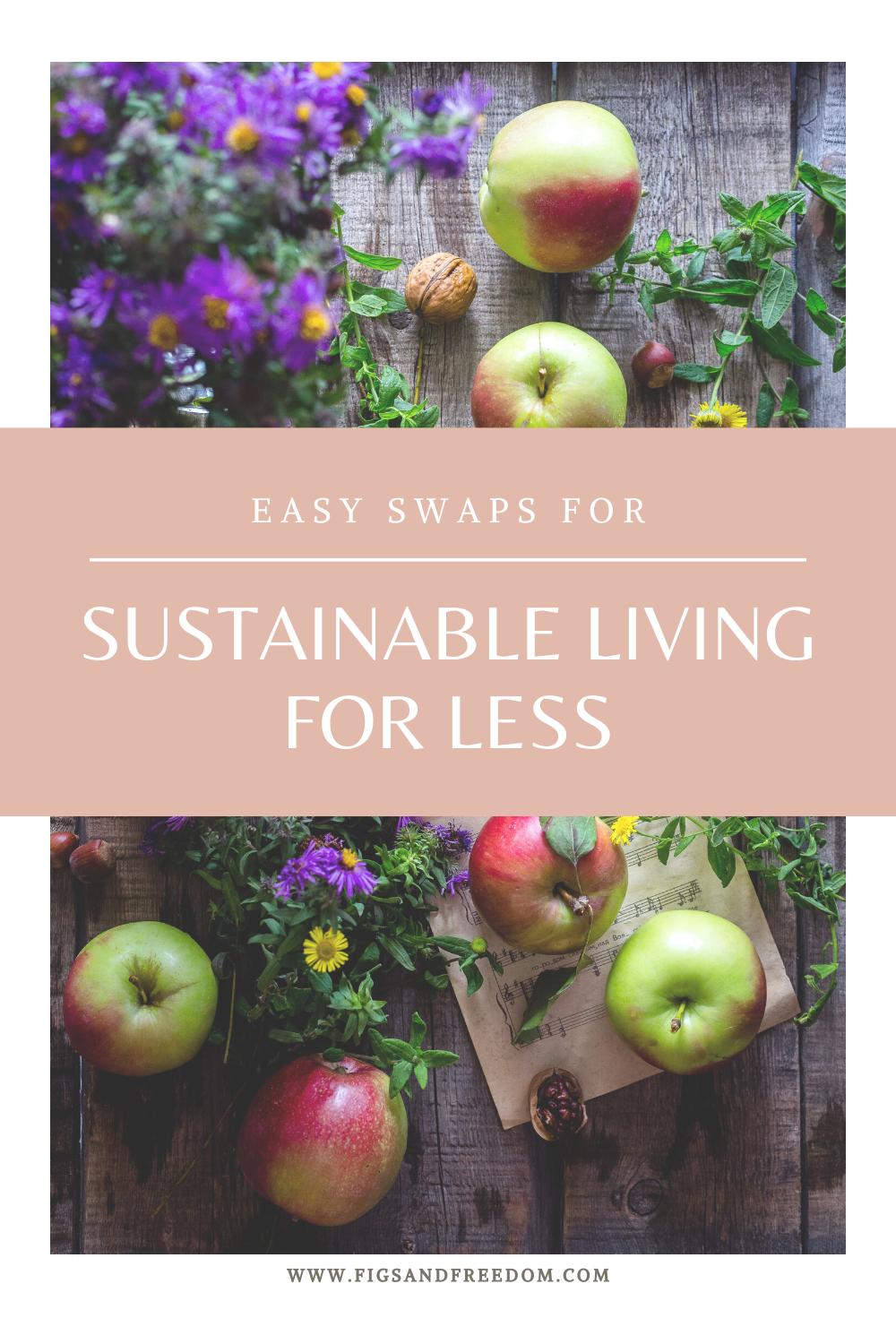 Sustainable Living Graphic