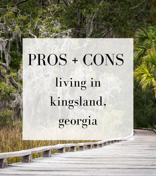 Pros and Cons of Living in Kingsland, Georgia